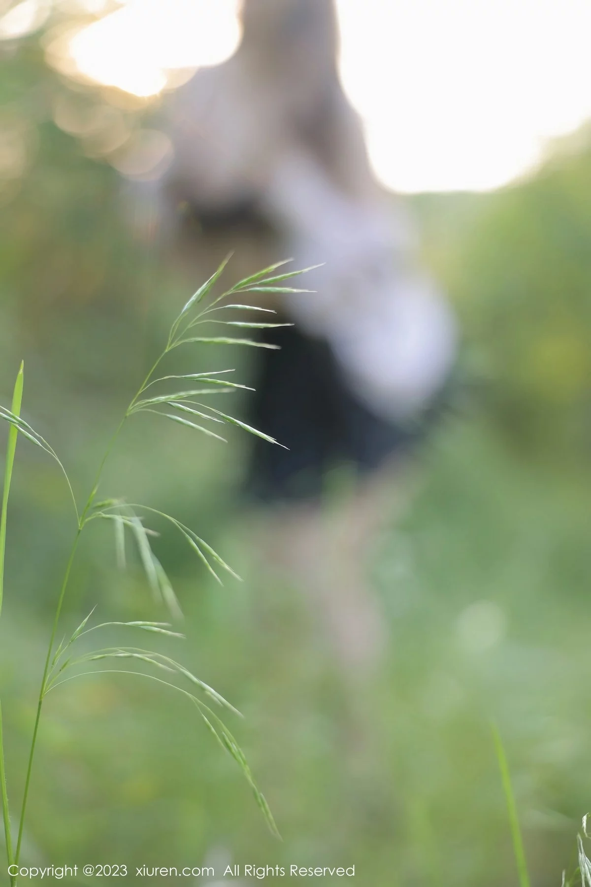 Xrmnw.Vip_江真真_合集 Xrmnw.Vip_江真真_写真