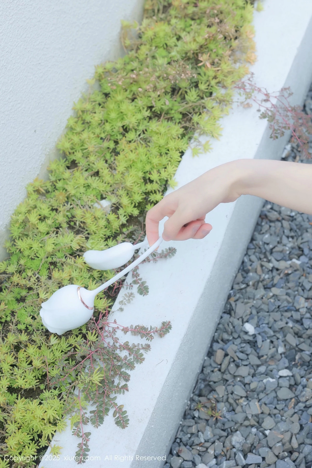 Xrmnw.Vip_桃妖夭_写真